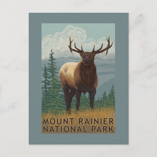 Rainier National Park, WashingtonElk Scene Postkarte (Vorderseite)