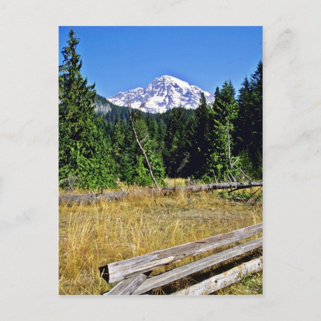 Rainier-Nationalpark Postkarte (Vorderseite)