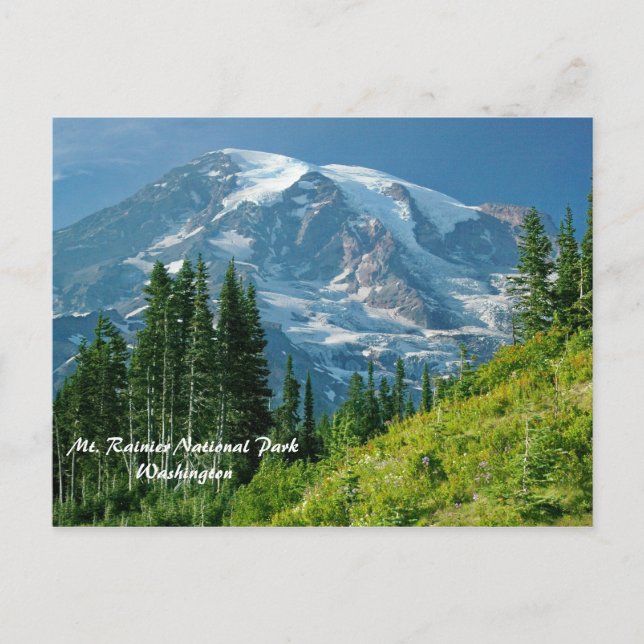 Rainier-Nationalpark Postkarte (Vorderseite)
