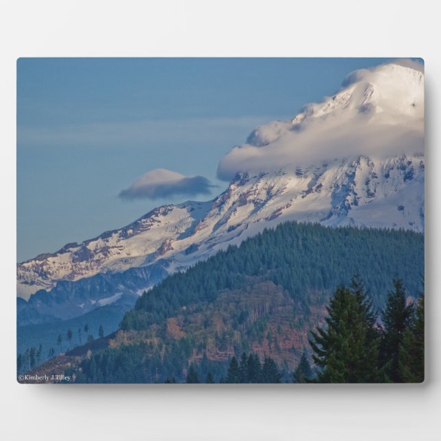 Rainier P5002 Fotoplatte (Vorderseite)