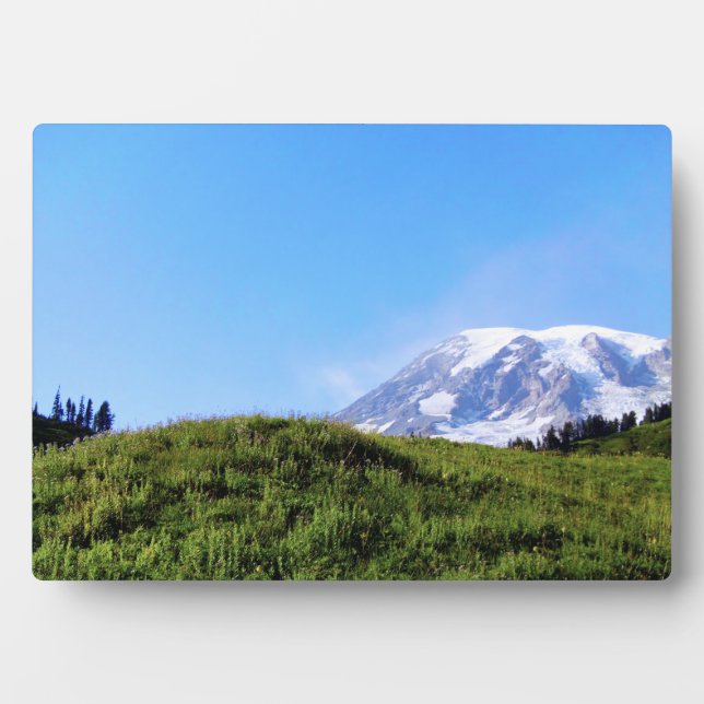 Rainier PDSC230 Fotoplatte (Vorderseite)