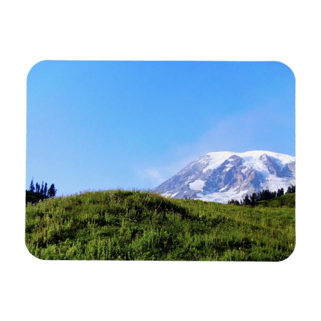 Rainier PDSC230 Magnet (Horizontal)