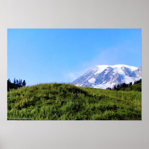 Rainier PDSC230 Poster