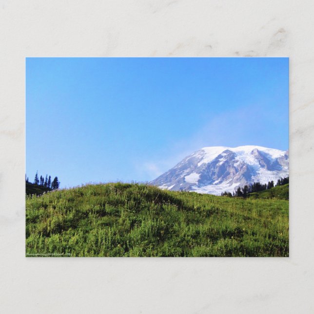 Rainier PDSC230 Postkarte (Vorderseite)
