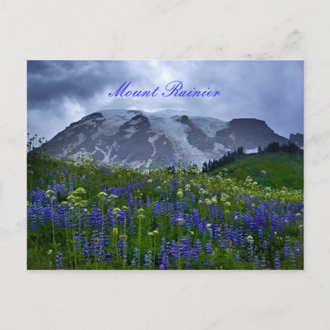 Rainier-Postkarte Postkarte (Vorderseite)