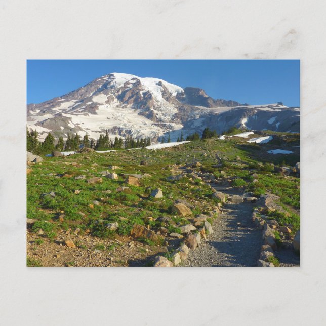 Rainier Skyline Trail Postkarte (Vorderseite)