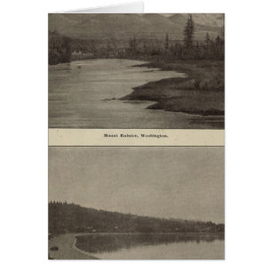 Rainier Steilacoom Beach