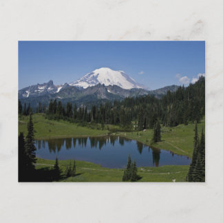 Rainier und Tipsoo Postcard Postkarte