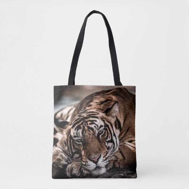 Rainthambourde wilde männliche Tigerin Fine Art Bi Tasche (Vorderseite)