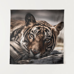 Rainthambourde wilde männliche Tigerin Fine Art Bi Wandteppich
