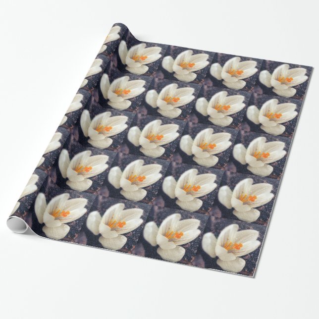 Rainy Day Crocus Blume Geschenkpapier (Ungerollt)