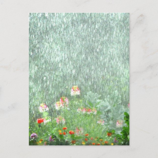 Rainy Day dans la carte postale Jardin des Fleurs (Devant)