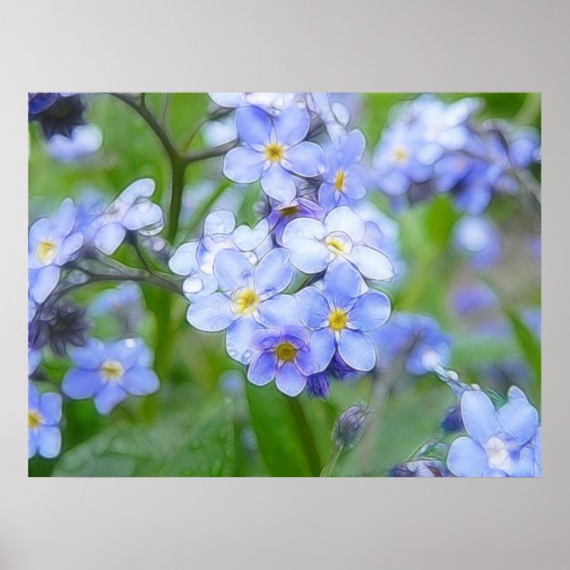 Rainy Day Forget Me Nots Poster (Vorne)