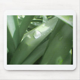 Rainy Spring Mousepad