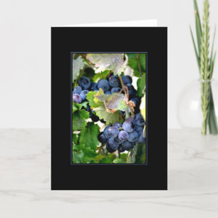 Raisins de carte de Napa