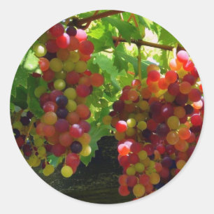 Raisins sur un autocollant de vigne