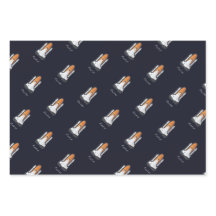 Raketen Sonnensystem Astronautensatellit 3 Stück