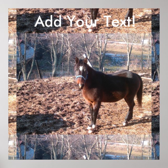 Raleigh Landkreis Poster (Vorne)