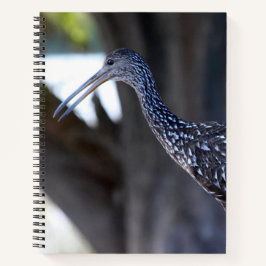 Rallenreiher, Der Weinende Vogel Notizbuch