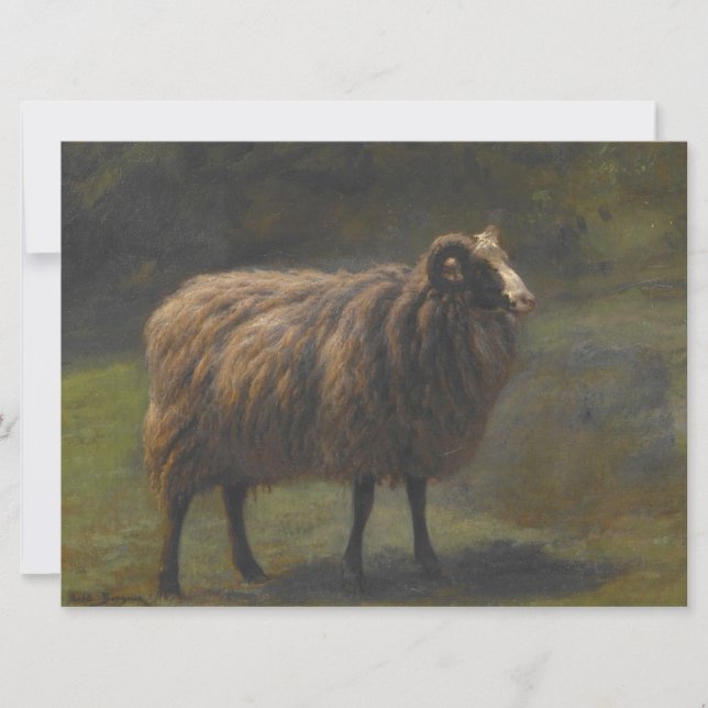 Ram (männliche Schafe) auf dem Bauernhof (von Rosa Karte (Vorderseite)
