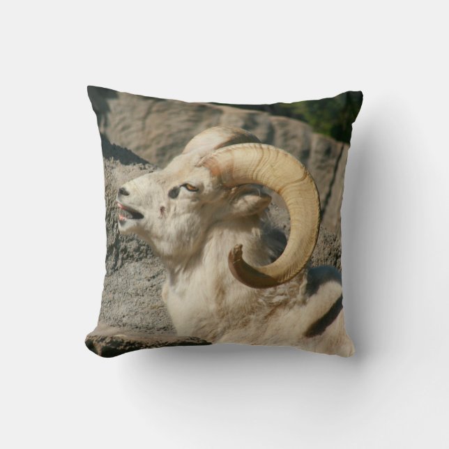 Ram oder Bighorn Sheep Laghing Kissen (Vorderseite)