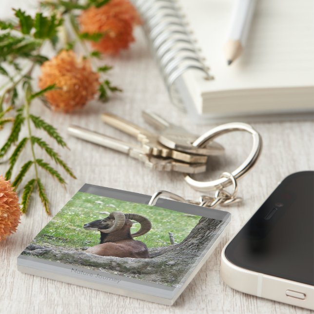 Ram Schlüsselanhänger (Vorderseite rechts)