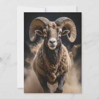 Ram Wild Animal Elegantes Dramatisches Nebelportra Ankündigung