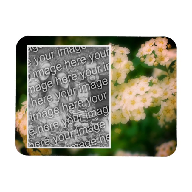 Rambling Wild White Roses hinzufügen Ihr Foto Magnet (Horizontal)