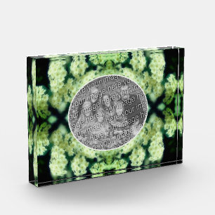 Rambling Wild White Roses kreieren Ihre eigene Fotoblock
