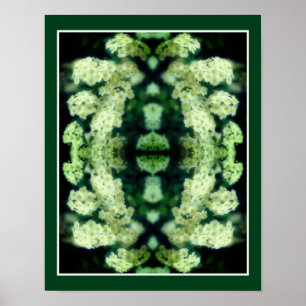 Rambling Wild White Roses Mirror Abstrakt Poster