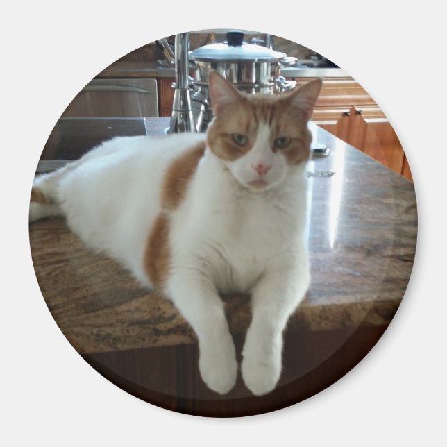 Rambo - Orange Kitty Magnet (Vorne)