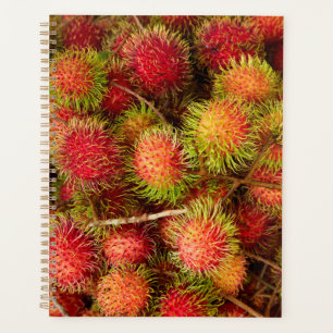 Rambutan-Frucht auf dem Can Duoc-Markt Planer
