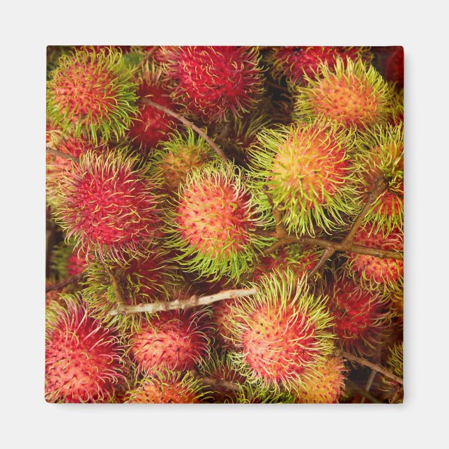 Rambutan Fruit auf dem Can Duoc Market Magnet (Vorne)