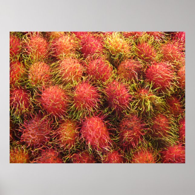 Rambutan Tropical Fruit Poster (Vorne)