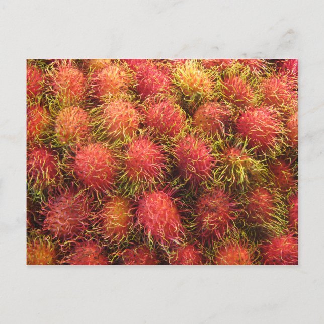 Rambutan Tropical Fruit Postkarte (Vorderseite)