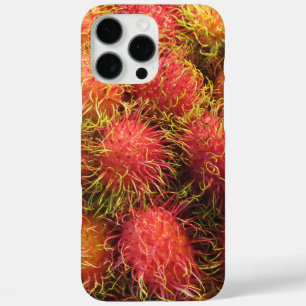 Rambutan Tropical Fruit title_seo2