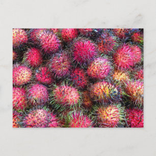 Rambutans Foto-Postkarte Postkarte