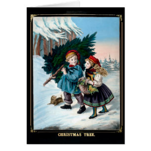 Ramenez L'Arbre À La Maison