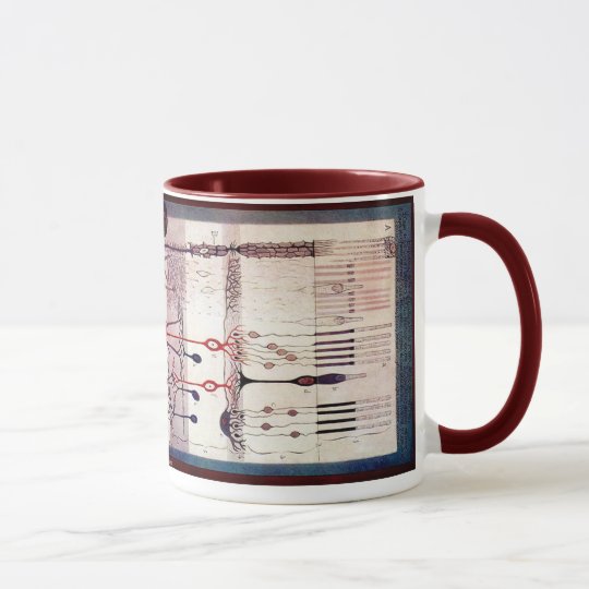 Ramon Y Cajal Tasse