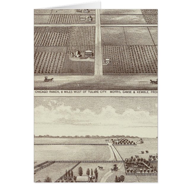 ranch de Chicago, Kay (Devant)
