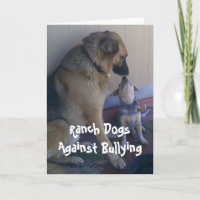 Ranch-Hunde gegen die Einschüchterung -