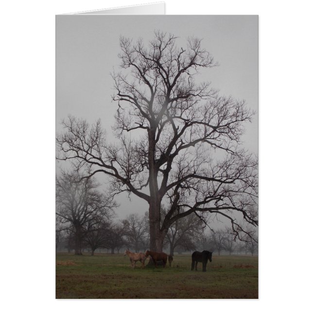 Ranch II de rivière de lune (Devant)