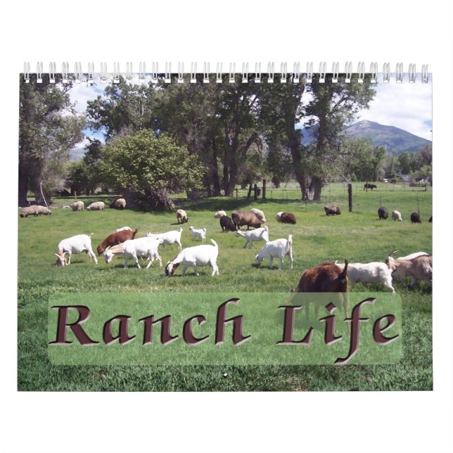 Ranch Life auf der Blackman Ranch Kalender (Titelbild)