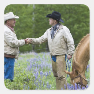 Rancher, die sich über den Zaun hinweg die Hände s Quadratischer Aufkleber