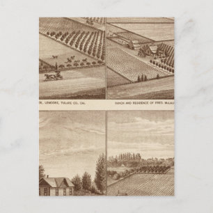 Ranches, Tulare Co, Cal 2 Postkarte