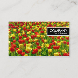 Rand-Tag - Meer der Tulpen Visitenkarte