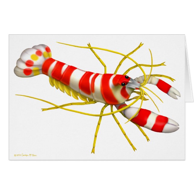 Randalls Pistolen-Garnele-Kunst-Karte (Vorderseite (Horizontal))