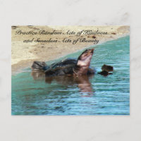 Random Act de la carte postale de la gentillesse -