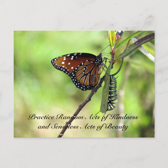 Random Act of Kindess Postcard - Queen Butterfly Postkarte (Vorderseite)