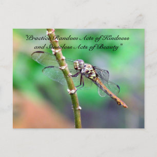 Random Acts of Kindness Postcard - Dragonfly Postkarte